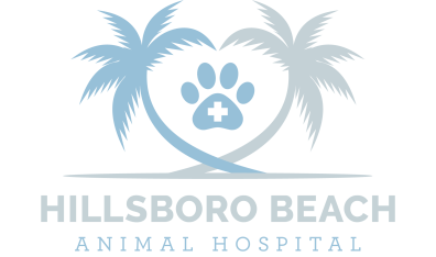 Hillsboro Beach Animal Hospital 0304 - Logo